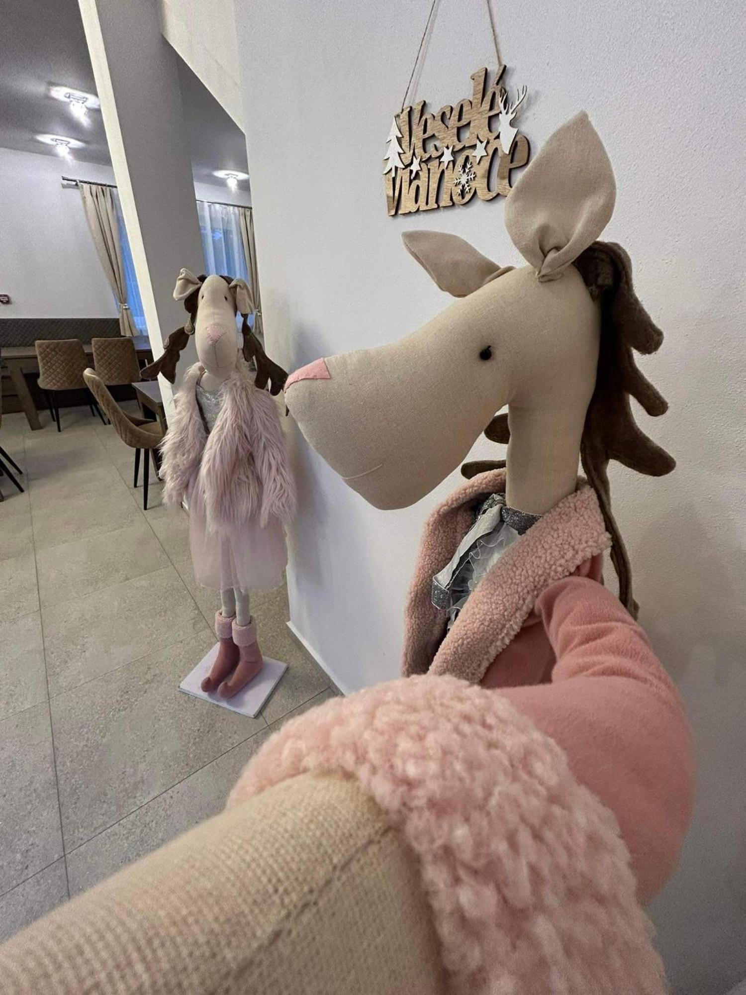 Zafir 호텔 Dunajská Streda 외부 사진